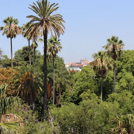 Botanic Views Pensión 3*