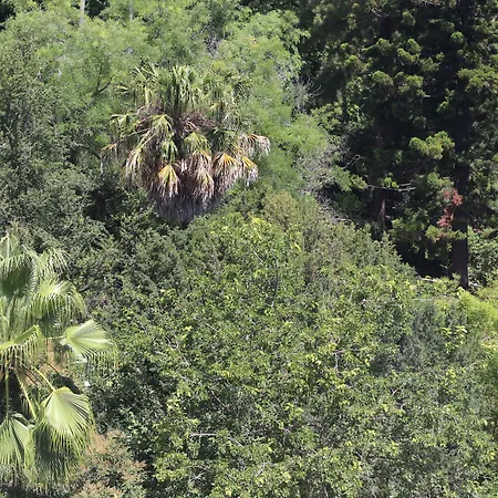 Botanic Views
