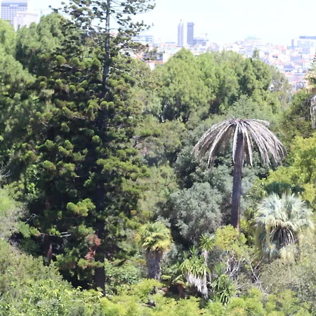 Botanic Views 3* Lizbona