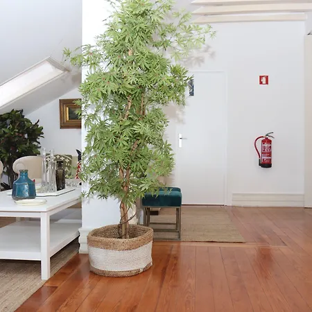 Botanic Views 리스본