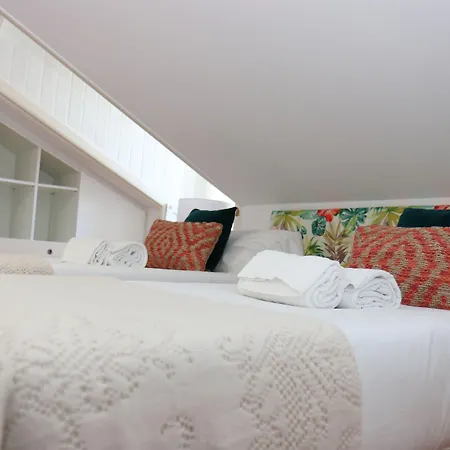 Πανσιόν Botanic Views