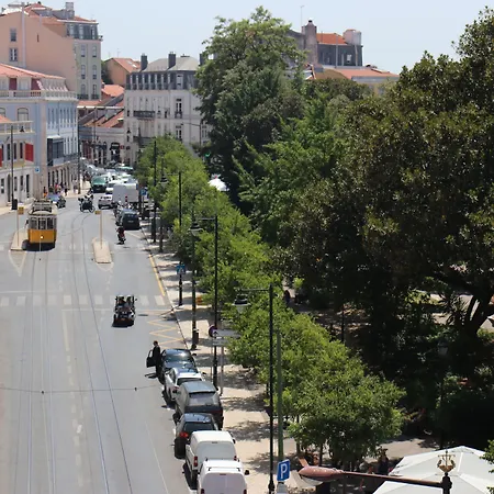 게스트하우스 Botanic Views 3*