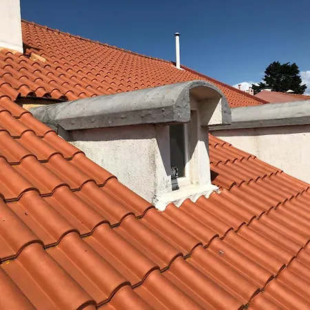 Gæstehus Botanic Views Lisboa