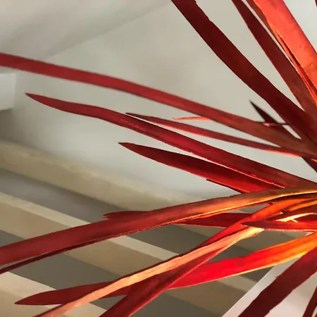 Botanic Views 게스트하우스 3*