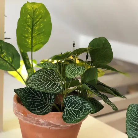 Botanic Views 리스본